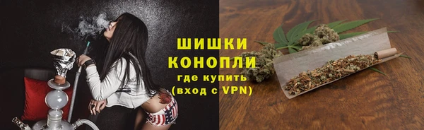 прущие грибы Навашино