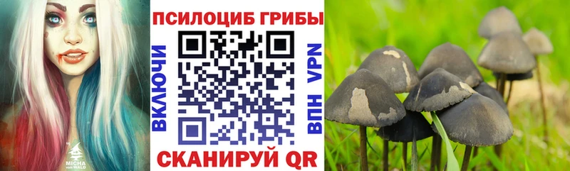 Псилоцибиновые грибы Cubensis  Дубна 