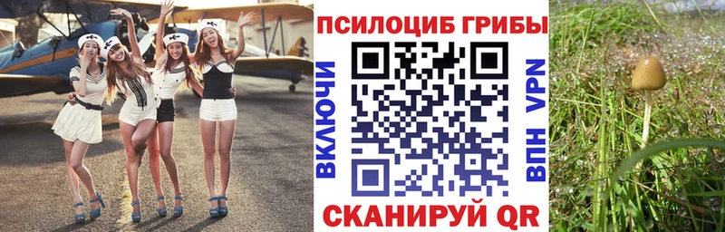 Псилоцибиновые грибы ЛСД Дубна